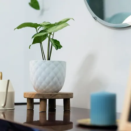דירה Cozy Boho Apartment, Super Central, Parliament, Netflix